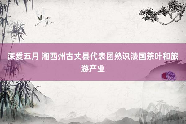 深爱五月 湘西州古丈县代表团熟识法国茶叶和旅游产业