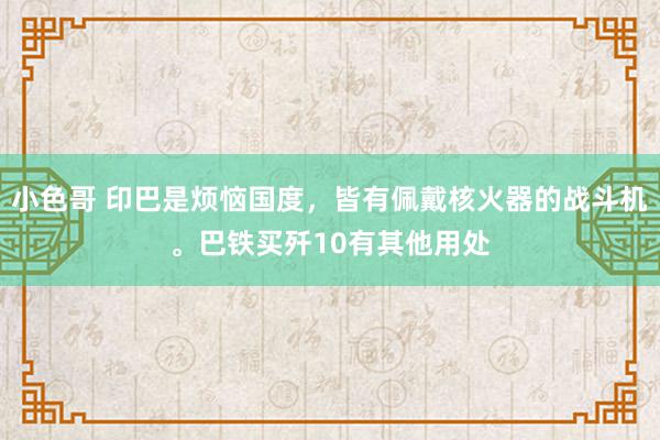 小色哥 印巴是烦恼国度，皆有佩戴核火器的战斗机。巴铁买歼10有其他用处