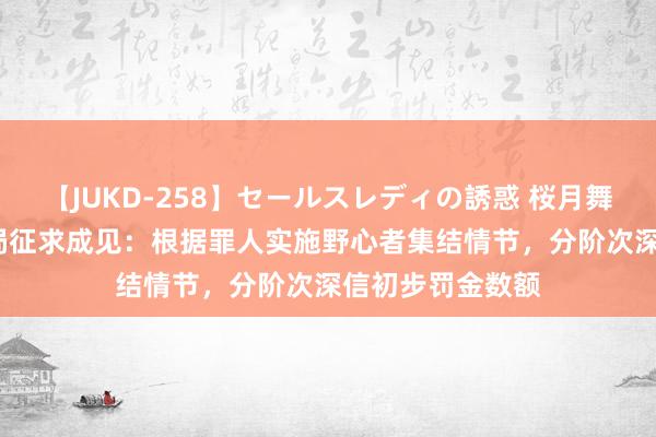 【JUKD-258】セールスレディの誘惑 桜月舞 他 阛阓监管总局征求成见：根据罪人实施野心者集结情节，分阶次深信初步罚金数额