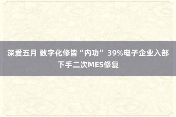 深爱五月 数字化修皆“内功” 39%电子企业入部下手二次MES修复