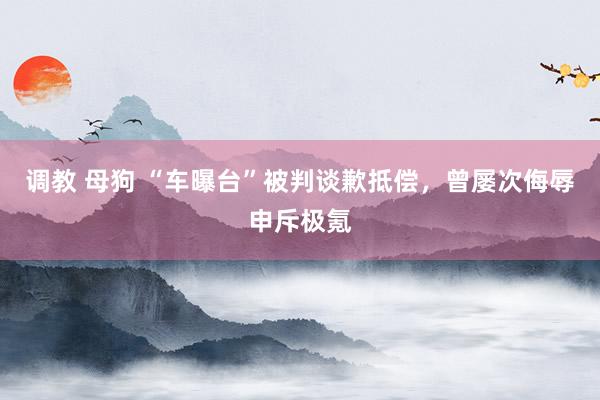 调教 母狗 “车曝台”被判谈歉抵偿，曾屡次侮辱申斥极氪