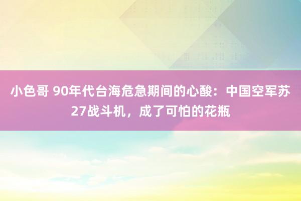 小色哥 90年代台海危急期间的心酸：中国空军苏27战斗机，成了可怕的花瓶