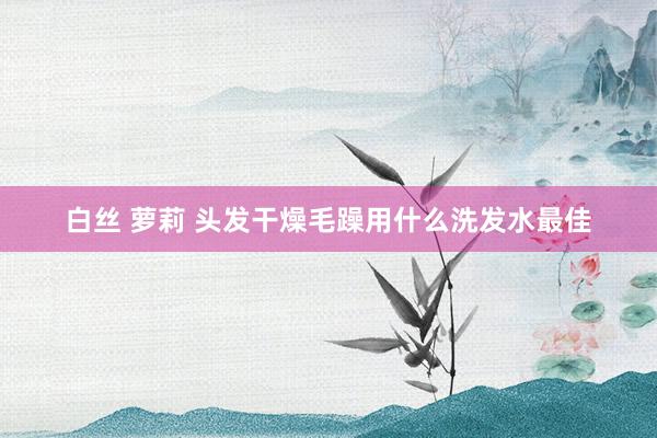 白丝 萝莉 头发干燥毛躁用什么洗发水最佳