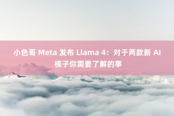 小色哥 Meta 发布 Llama 4：对于两款新 AI 模子你需要了解的事