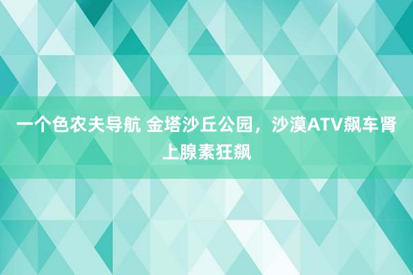 一个色农夫导航 金塔沙丘公园，沙漠ATV飙车肾上腺素狂飙