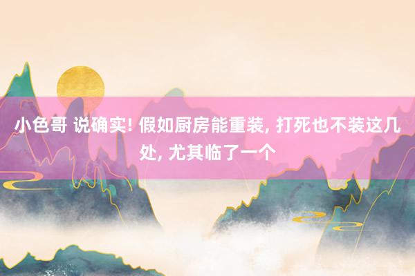 小色哥 说确实! 假如厨房能重装, 打死也不装这几处, 尤其临了一个