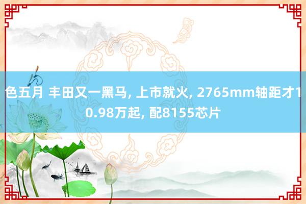 色五月 丰田又一黑马, 上市就火, 2765mm轴距才10.98万起, 配8155芯片