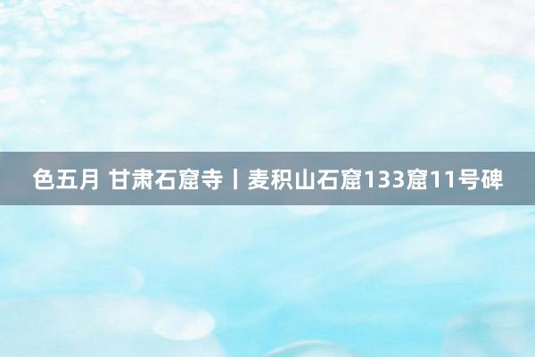 色五月 甘肃石窟寺丨麦积山石窟133窟11号碑